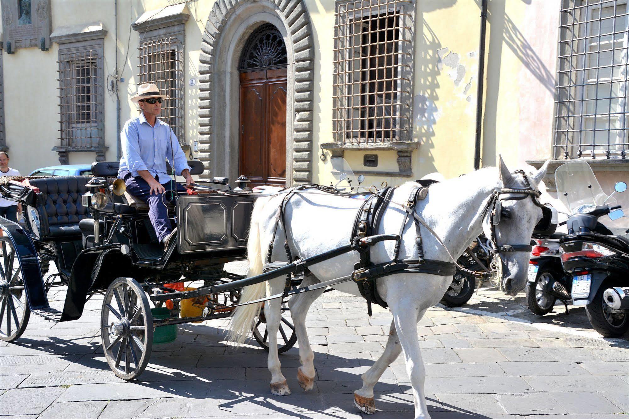 Dimora Dei Guelfi Luxury Rooms Lucca Luaran gambar